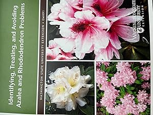 Identifying, Treating, and Avoiding Azalea and Rhododendron Problems