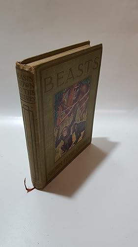 Bild des Verkufers fr Beasts shown to the children zum Verkauf von Cambridge Rare Books