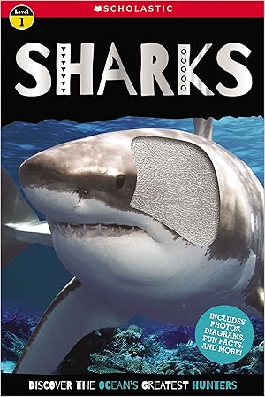 Imagen del vendedor de Sharks a la venta por Reliant Bookstore