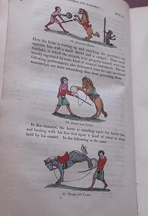 Seller image for The sports and pastimes of the people of England : including the rural and domestic recreations, May-games, mummeries, shows, processions, pageants, and pompous spectacles, from the earliest period to the present time ; [title continued below]: for sale by Bristow & Garland