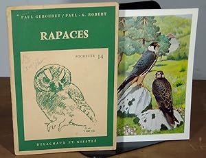 Seller image for RAPACES - POCHETTE 14 for sale by Livres 113