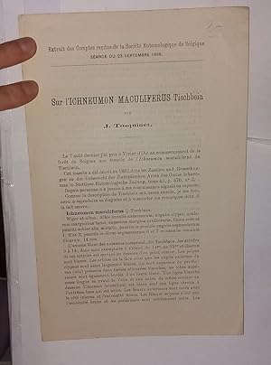 Immagine del venditore per Sur l'Ichneumon Maculiferus Tischbeins venduto da Librairie Albert-Etienne