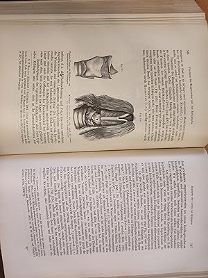Eduard R.v.Hofmann's Lehrbuch der Gerichtlichen Medicin - mit gleichmässiger Berücksichtigung der...