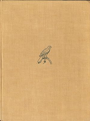 Seller image for A HAWK FOR THE BUSH: A TREATISE ON THE TRAINING OF THE SPARROW-HAWK AND OTHER SHORT-WINGED HAWKS. By Jack Mavrogordato. First edition. for sale by Coch-y-Bonddu Books Ltd