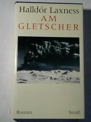 Bild des Verkufers fr Am Gletscher. Roman zum Verkauf von Celler Versandantiquariat
