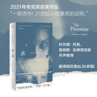 Immagine del venditore per Promise (2021 Booker Prize Winners!)(Chinese Edition) venduto da liu xing