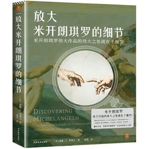 Seller image for Zoom in on Michelangelo's details (The greatness of Michelangelo's great works lies in the details)(Chinese Edition) for sale by liu xing