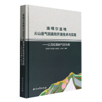 Imagen del vendedor de Efficient development technology and practice of volcanic gas fields in the Junggar Basin: A case study of the Kelameili gas field(Chinese Edition) a la venta por liu xing