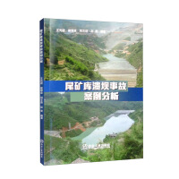 Imagen del vendedor de Case Analysis of Tailings Dam Break Accident(Chinese Edition) a la venta por liu xing