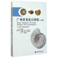 Image du vendeur pour Illustrated Book of Common Fossils in Guangxi (Volume 1 and 2)(Chinese Edition) mis en vente par liu xing