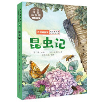 Immagine del venditore per Insects (Grade 1-2. phonetic coloring edition)/We Love Science Graded Reading Books for Primary and Secondary School Popular Science(Chinese Edition) venduto da liu xing