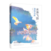 Imagen del vendedor de Mizusawa Flying Feather (Wetland Birds) / Wetland China Popular Science Series(Chinese Edition) a la venta por liu xing