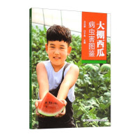 Seller image for Illustrated Book of Watermelon Pests and Diseases in Greenhouse(Chinese Edition) for sale by liu xing
