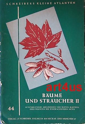 Schreibers kleiner Atlas : Bäume und Sträucher II ; 43 naturgetreue Abbildungen von Blüten, Blätt...