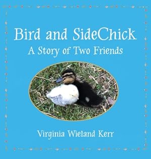 Seller image for Bird and SideChick: A Story of Two Friends (Hardback or Cased Book) for sale by BargainBookStores