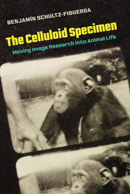 Imagen del vendedor de The Celluloid Specimen: Moving Image Research Into Animal Life (Paperback or Softback) a la venta por BargainBookStores