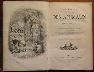 Vie privée et publique des animaux. Vignettes par Grandville. Sous la direction de P. Stahl.