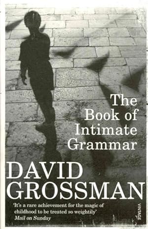 Seller image for Book of Intimate Grammar for sale by GreatBookPricesUK