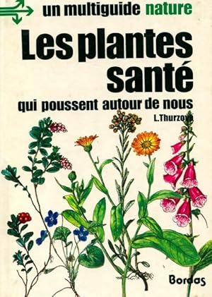 Les plantes santé qui poussent autour de nous - Thurzova