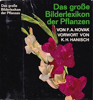 Bild des Verkufers fr Das grobe bilderlexikon der pflanzen zum Verkauf von Biblioteca di Babele