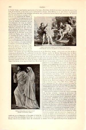 Immagine del venditore per LAMINA V23990: Orfeo y Euridice por Feuerbach venduto da EL BOLETIN