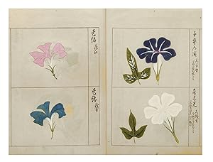 Finely illustrated album, entitled on manuscript label on upper cover "Asagao fu" ["Pictures of M...