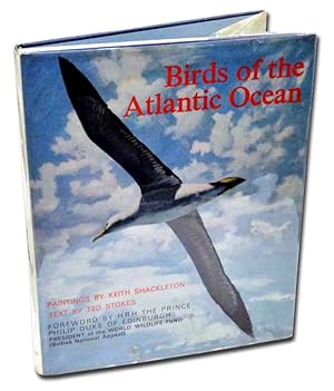 Immagine del venditore per Birds of the Atlantic Ocean venduto da Blue Dragon Books