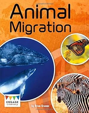 Imagen del vendedor de Animal Migration (Engage Literacy: Engage Literacy Grey) a la venta por WeBuyBooks