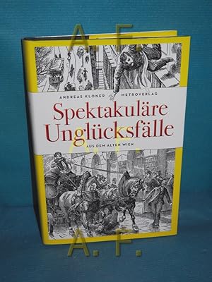 Bild des Verkufers fr Spektakulre Unglcksflle aus dem Alten Wien zum Verkauf von Antiquarische Fundgrube e.U.