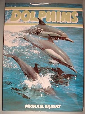 Seller image for Dolphins for sale by PB&J Book Shop