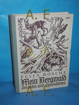 Seller image for Mein Bergwald : Erlebtes und Erlauschtes [Buchschm. v. N. v. Brelern-Roth] for sale by Antiquarische Fundgrube e.U.
