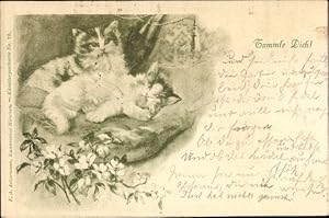 Ansichtskarte / Postkarte Tummle Dich, zwei Katzen - Ackermann 78