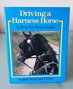 Driving a Harness Horse: A Step-By-Step Guide