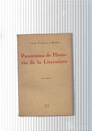Imagen del vendedor de Panorama de Historia de la Literatura a la venta por El Boletin