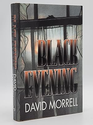 Image du vendeur pour Black Evening. mis en vente par Zephyr Books