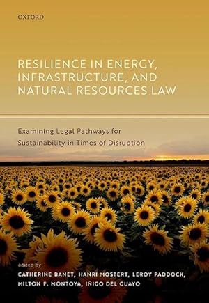 Imagen del vendedor de Resilience in Energy, Infrastructure, and Natural Resources Law (Hardcover) a la venta por Grand Eagle Retail