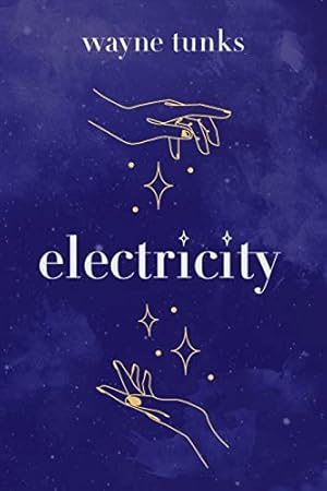 Bild des Verkufers fr Electricity zum Verkauf von WeBuyBooks
