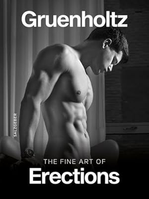 Seller image for The Fine Art of Erections for sale by Rheinberg-Buch Andreas Meier eK