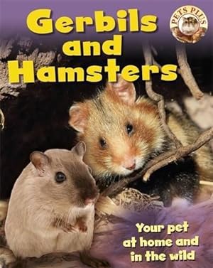 Seller image for Pets Plus: Gerbils and Hamsters for sale by WeBuyBooks