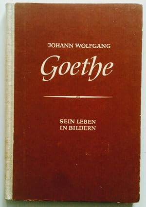 Johann Wolfgang Goethe. Sein Leben in 150 Bildern.