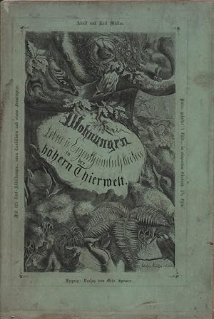 Bild des Verkufers fr Wohnungen, Leben und Eigenthmlichkeiten in der hheren Thierwelt. Geschildert von Adolf Mller und Karl Mller. zum Verkauf von Antiquariat Reinhold Pabel