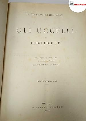 Imagen del vendedor de Figuier Luigi, Gli uccelli, Treves, 1869. a la venta por Amarcord libri