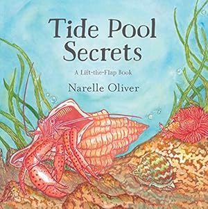 Seller image for Tide Pool Secrets for sale by WeBuyBooks