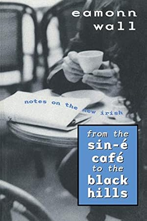 Seller image for From the Sin-e Cafe to the Black Hills :Notes on the New Irish for sale by The Book House, Inc.  - St. Louis