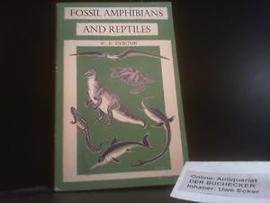 Fossil Amphibians and Reptiles.