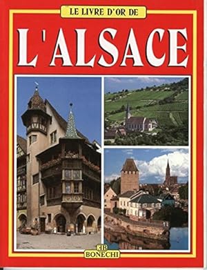 Bild des Verkufers fr Le livre d'or de l'Alsace zum Verkauf von Ammareal