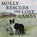 Seller image for Molly Rescues the Lost Lambs (The Adventures of Molly the Border Collie) [Soft Cover ] for sale by booksXpress