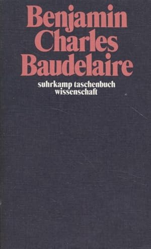 Bild des Verkufers fr Charles Baudelaire: Ein Lyriker im Zeitalter des Hochkapitalimus. Herausgegeben und mit einem Nachwort versehen von Rolf Tiedemann. zum Verkauf von Fundus-Online GbR Borkert Schwarz Zerfa