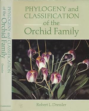 Imagen del vendedor de Phylogeny and Classification of the Orchid Family a la venta por Barter Books Ltd