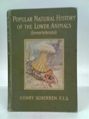 Bild des Verkufers fr Popular Natural History of the Lower Animals (Invertebrates) zum Verkauf von World of Rare Books